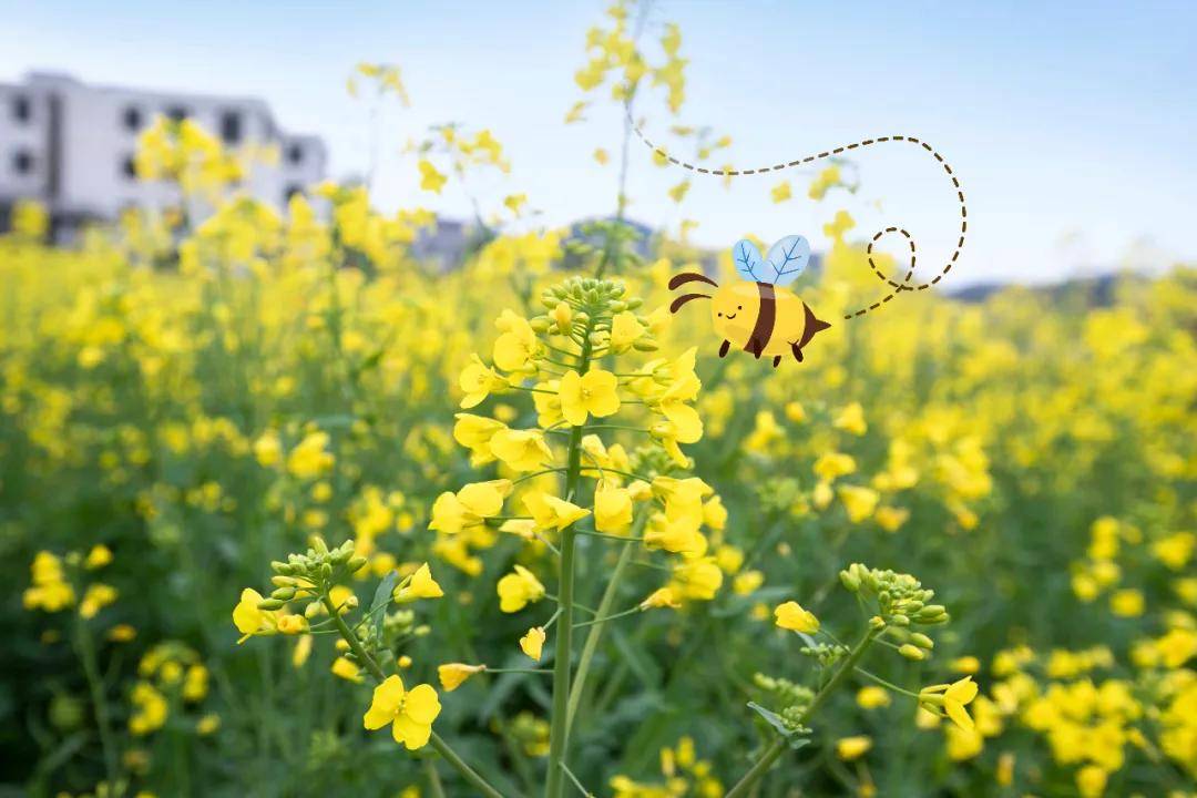 春暖花开在线播放，视觉与心灵的盛宴